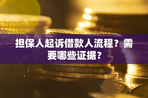 北京担保人起诉借款人流程？需要哪些证据？