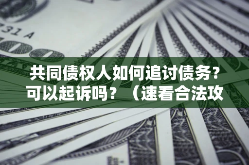 北京共同债权人如何追讨债务？可以起诉吗？（速看合法攻略）